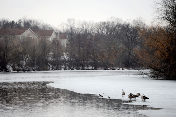 A view of the Huron River looking north west on Wednesday, March 6, 2013. Melanie Maxwell I AnnArbor.com